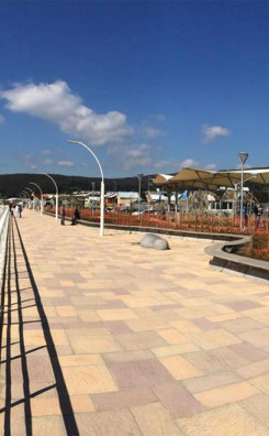 Parque y Bosque de mitigación Dichato