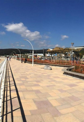 Parque y Bosque de mitigación Dichato